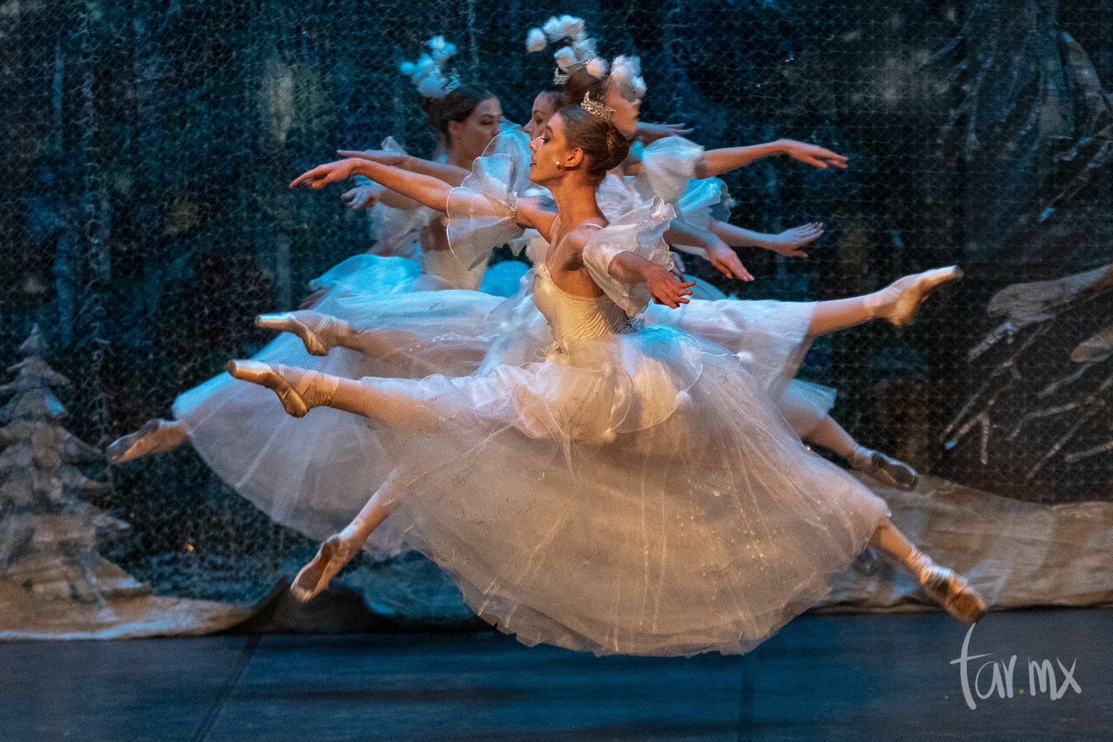 El Cascanueces, fotografías del ballet
