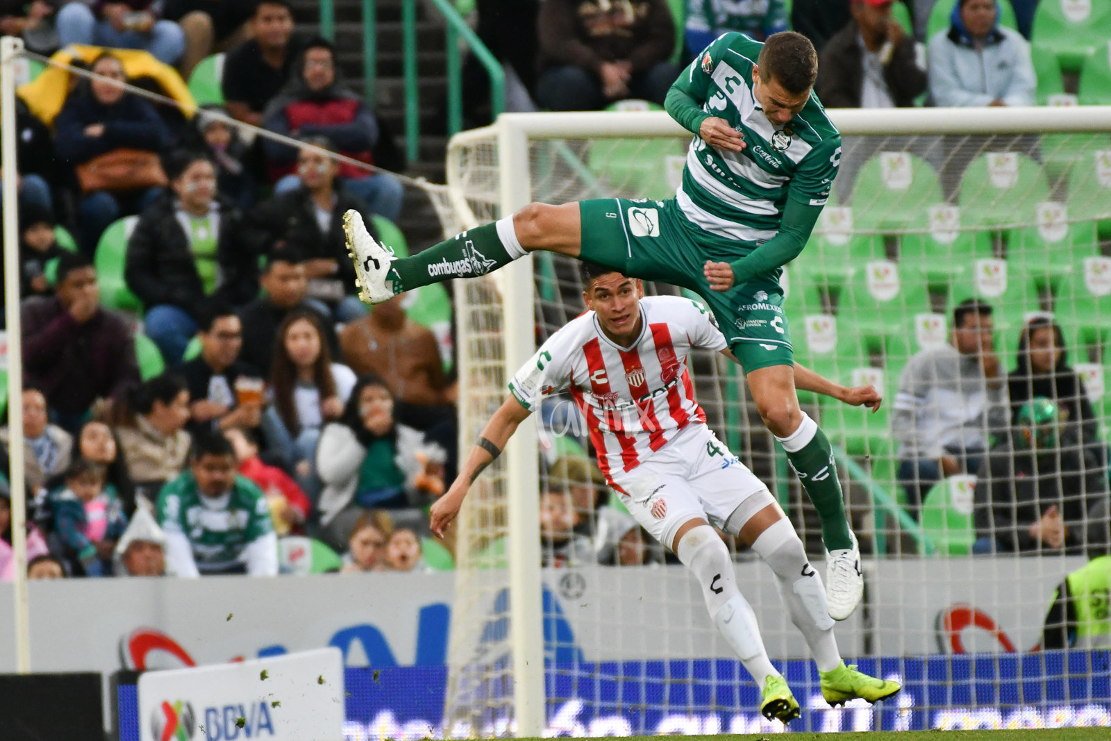 Santos Laguna vs Necaxa Clausura 2019 Liga MX - TAR.mx