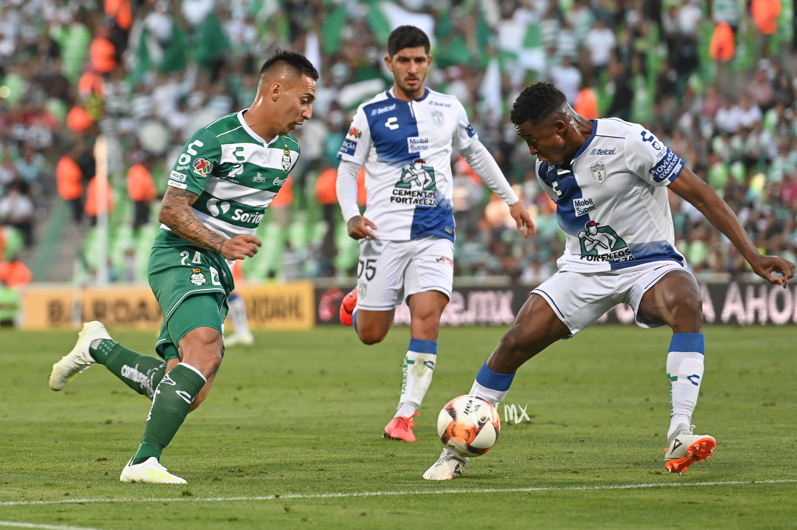 Marcelo Javier Correa, Santos vs Pachuca J13 C2019 Liga MX // 3931 TAR.mx