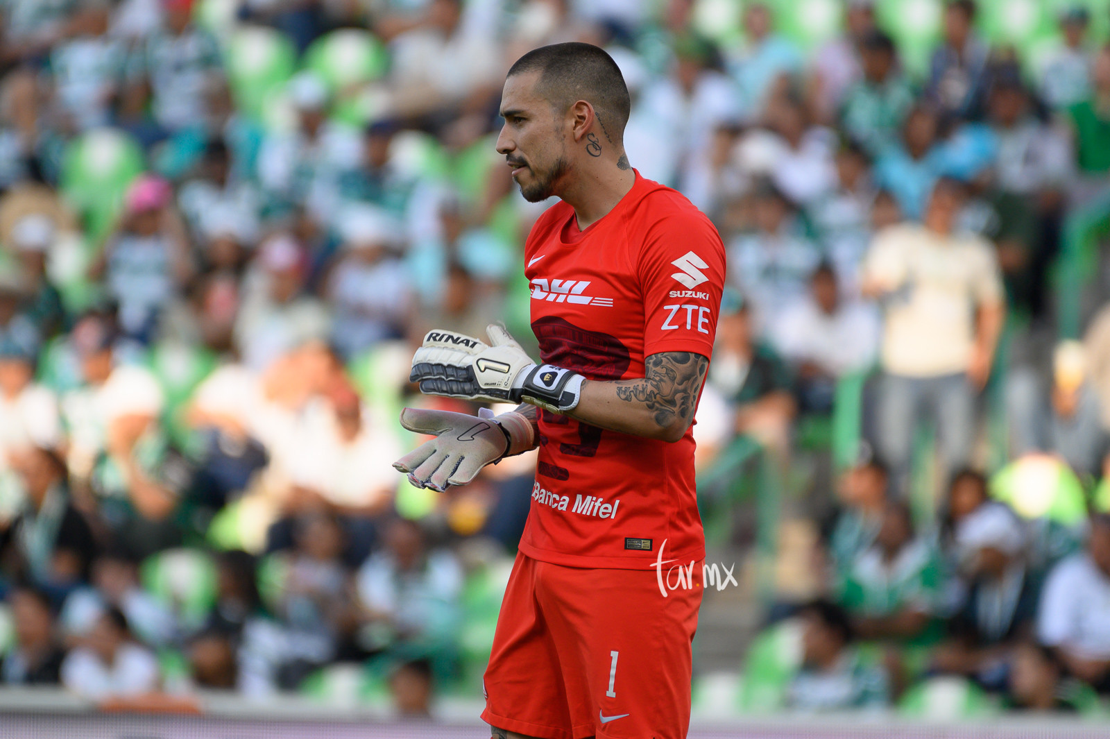 Alfredo Sald Var Santos Vs Pumas C Nz Tar Mx