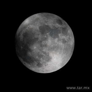 Luna