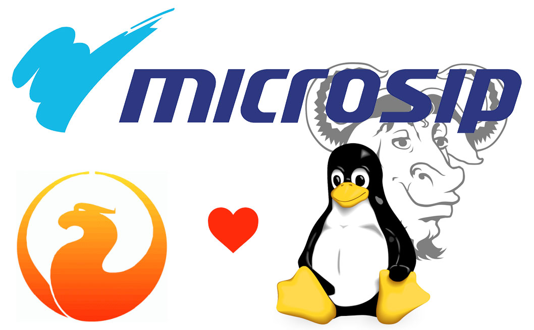 Instalar Microsip en una base de datos en Linux