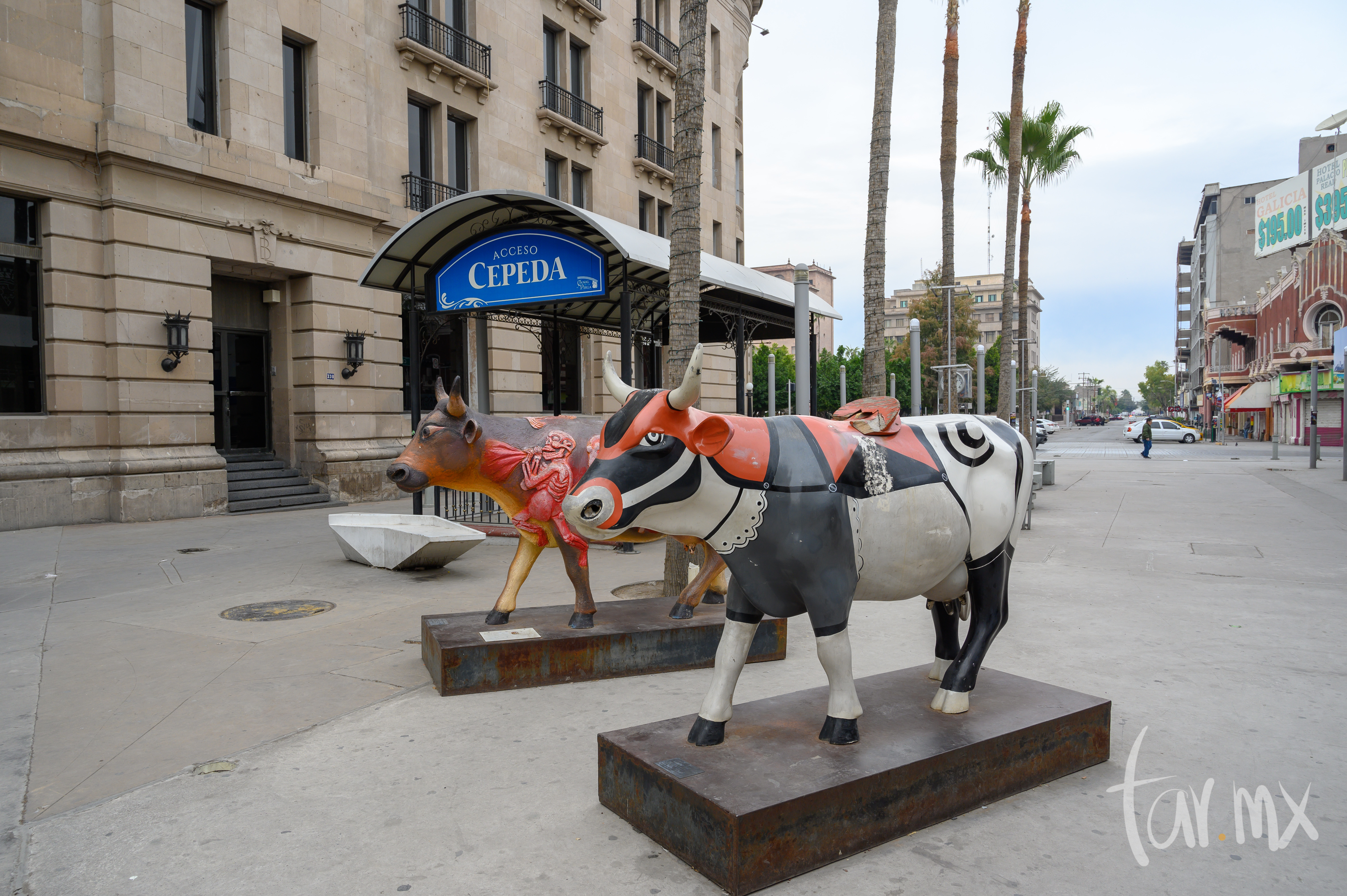 Vaquitas del museo Arocena